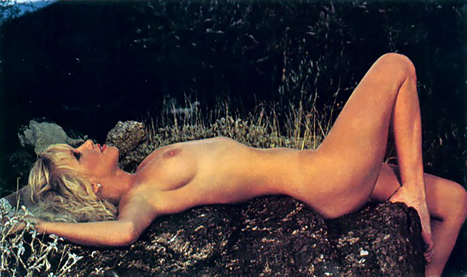 Suzanne sommers playboy pictures