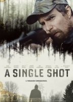A Single Shot (2013) Nacktszenen
