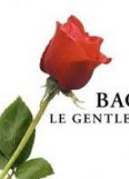 Bachelor gentleman célibataire (2003-heute) Nacktszenen