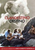 Clandestino destino 1987 film nackten szenen