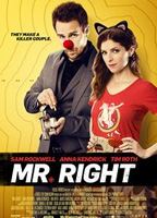 Mr. Right 2015 film nackten szenen