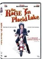 The Rage in Placid Lake (2003) Nacktszenen
