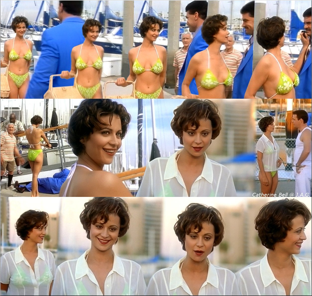 Catherine Bell nude pics.