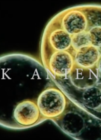 Alice In Chains: Black Antenna nacktszenen