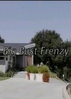 Big Bust Frenzy (2007) Nacktszenen