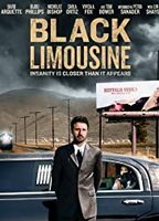 Black Limousine (2010) Nacktszenen
