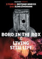 Boro in the Box (2011) Nacktszenen