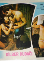 Dilber dudagi (1979) Nacktszenen