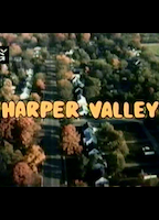 Harper Valley (1981-1982) Nacktszenen
