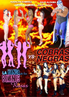 La banda de los bikinis rosas vs Cobras negras  (2013) Nacktszenen