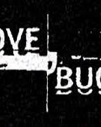 Love Bugs (2004-2007) Nacktszenen