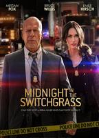 Midnight in the Switchgrass (2021) Nacktszenen