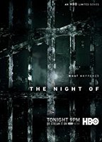 The Night Of (2016) Nacktszenen