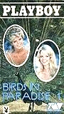 Birds in Paradise (1988) Nacktszenen