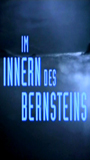 Im Innern des Bernsteins (1995) Nacktszenen