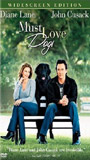 Must Love Dogs (2005) Nacktszenen