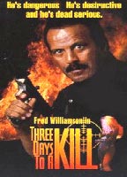 Three Days to a Kill (1991) Nacktszenen