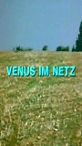 Venus im Netz nacktszenen
